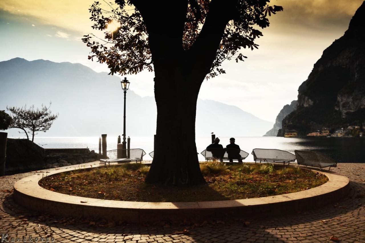 Riva City View المظهر الخارجي الصورة